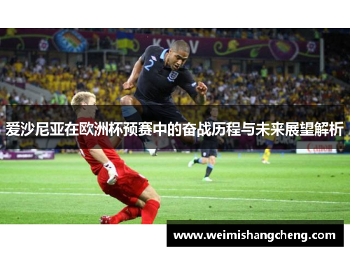 爱沙尼亚在欧洲杯预赛中的奋战历程与未来展望解析 爱沙尼亚在欧洲杯预赛中的奋战历程与未来展望解析