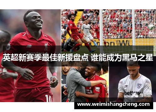 英超新赛季最佳新援盘点 谁能成为黑马之星