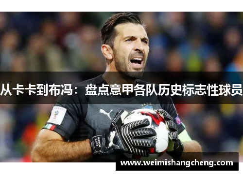 从卡卡到布冯：盘点意甲各队历史标志性球员