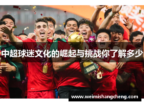 中超球迷文化的崛起与挑战你了解多少