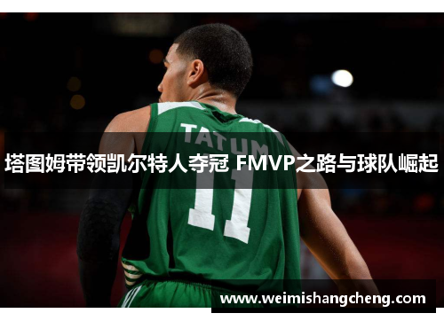 塔图姆带领凯尔特人夺冠 FMVP之路与球队崛起