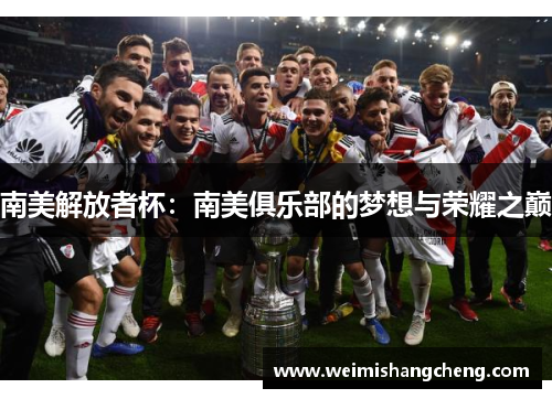 南美解放者杯：南美俱乐部的梦想与荣耀之巅