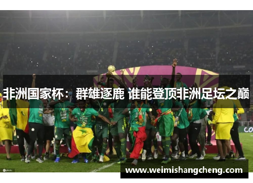 非洲国家杯：群雄逐鹿 谁能登顶非洲足坛之巅