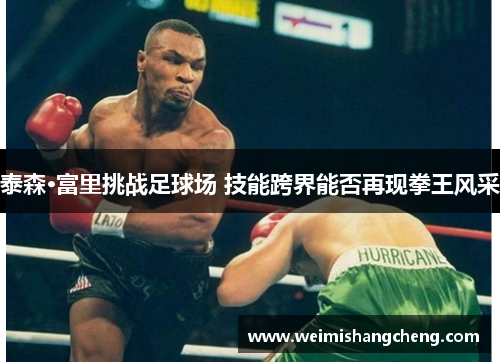 泰森·富里挑战足球场 技能跨界能否再现拳王风采