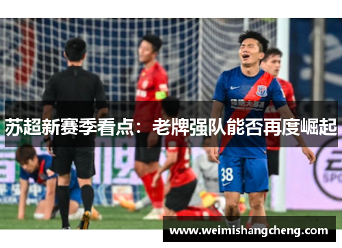 苏超新赛季看点：老牌强队能否再度崛起