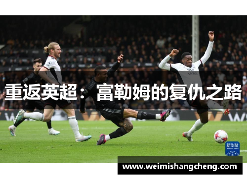 重返英超:富勒姆的复仇之路 重返英超:富勒姆的复仇之路